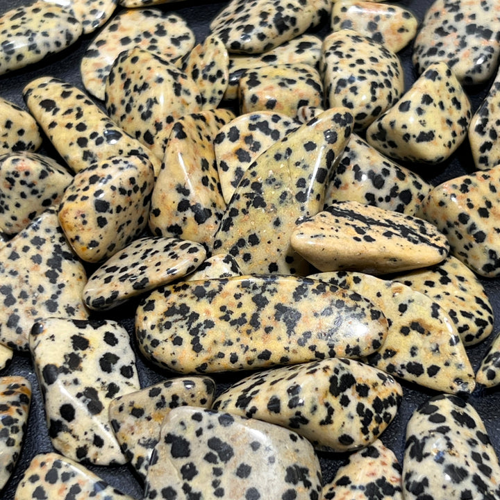 Spotted Dalmatian Jasper Tumbled (1 Kilo)(2.2 lbs) One Kilo Bulk Wholesale Lot Polished Gemstones