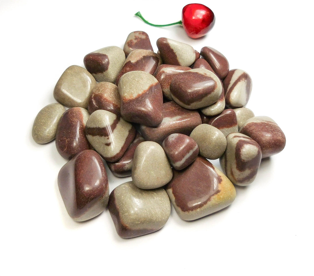 Shiva Lingam Tumbled (1/2 lb)(8 oz) Bulk Wholesale Lot Half Pound