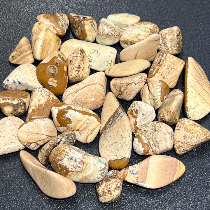 Picture Jasper Tumbled Stones (By The Piece Or Pound) Wholesale