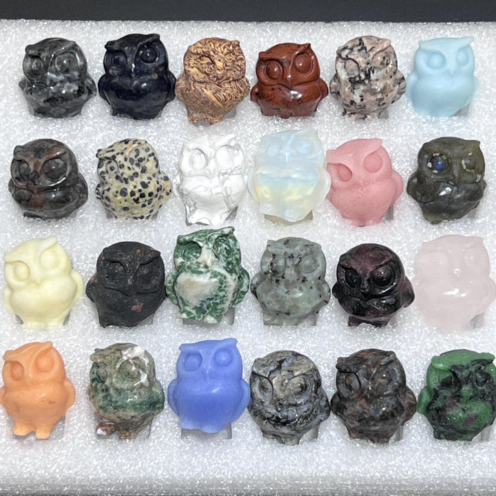 Mixed Gemstone Owl Carving Collection ( 24 Pcs ) Bulk Wholesale Assorted Flat Box