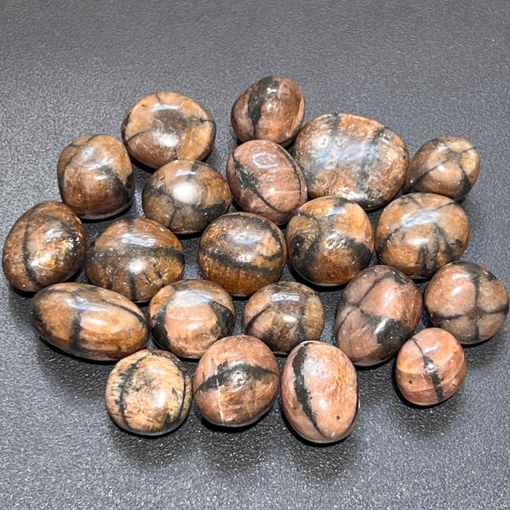 Chiastolite (Fairy Cross Stone) Tumbled (1 Kilo)(2.2 LBs) Bulk Wholesale Lot Polished Gemstones