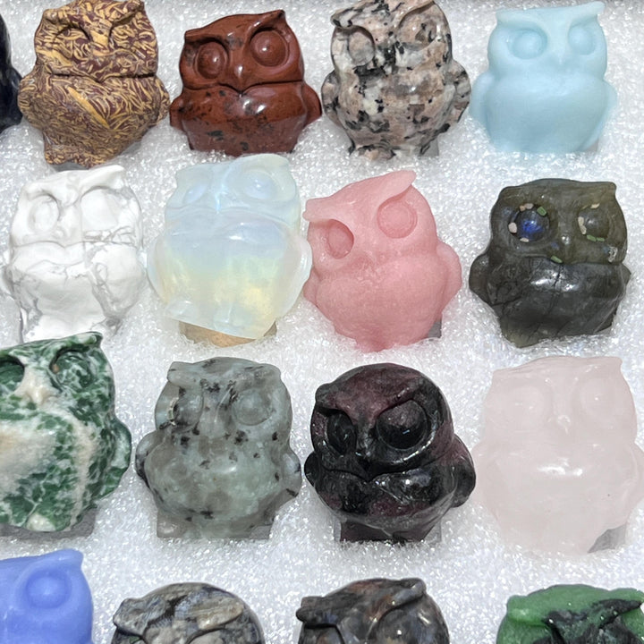 Mixed Gemstone Owl Carving Collection ( 24 Pcs ) Bulk Wholesale Assorted Flat Box