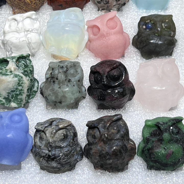 Mixed Gemstone Owl Carving Collection ( 24 Pcs ) Bulk Wholesale Assorted Flat Box