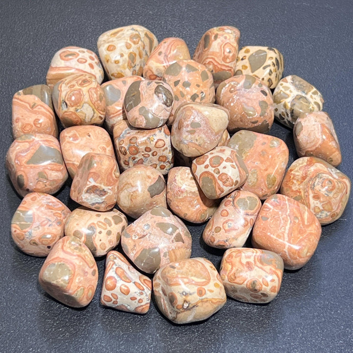 Leopardite (Leopard Skin Jasper) Tumbled (1 LB) One Pound Bulk Wholesale Lot