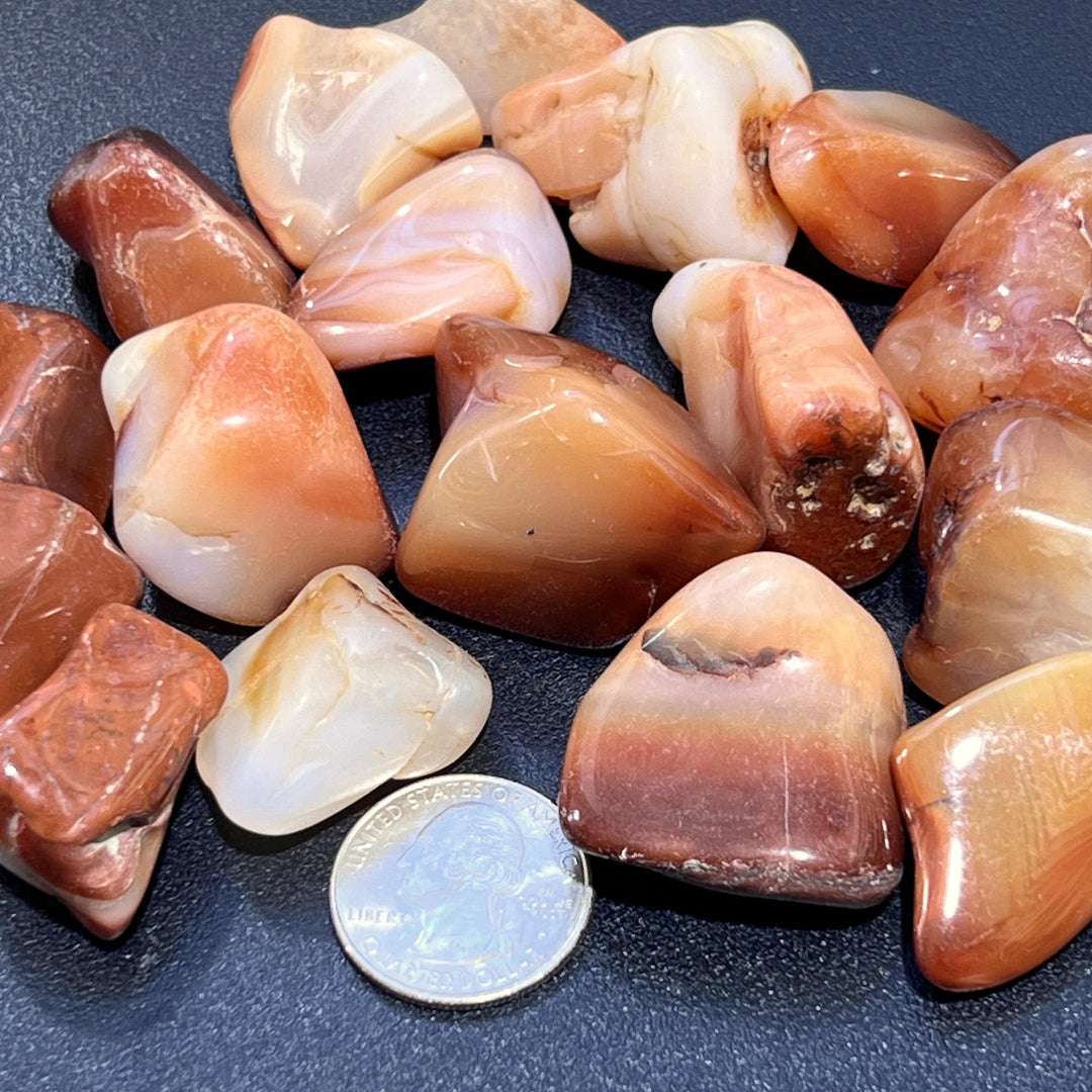 Red Carnelian Agate Tumbled Crystal (By The Piece Or Pound) Bulk Wholesale Lot Polished