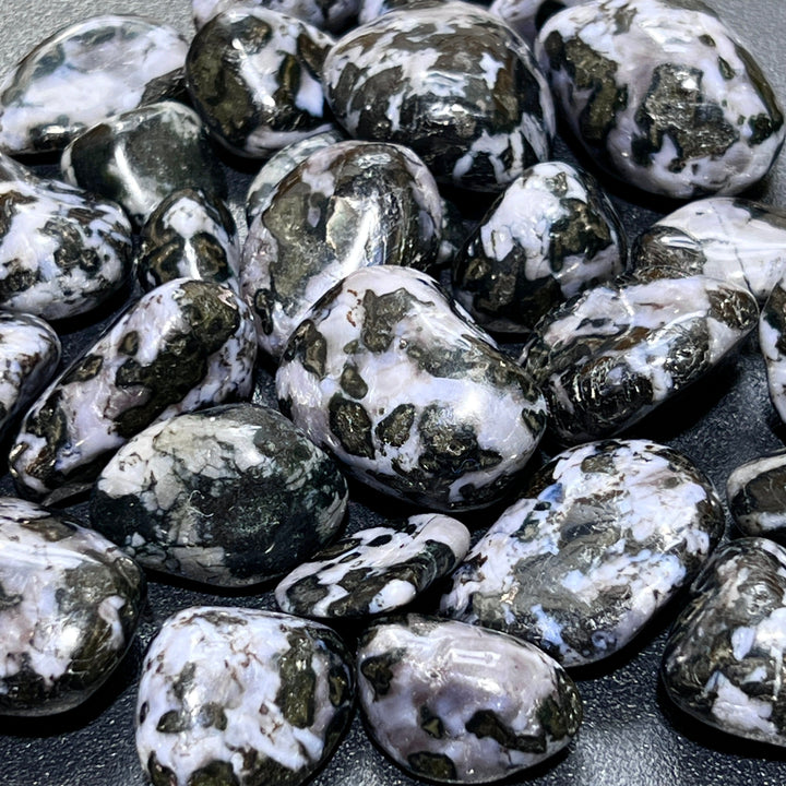 Indigo Gabbro (Mystical Merlinite) Tumbled (1/2 lb)(8 oz) Bulk Wholesale Lot Half Pound Polished Gemstones