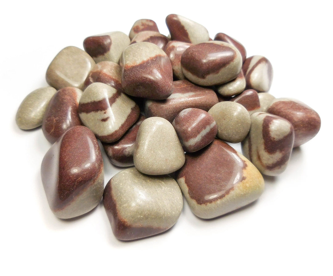 Shiva Lingam Tumbled (1/2 lb)(8 oz) Bulk Wholesale Lot Half Pound