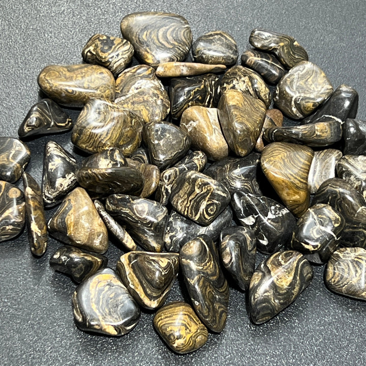 Tumbled Stromatolite Fossil Stones (By The Piece or Pound) Wholesale