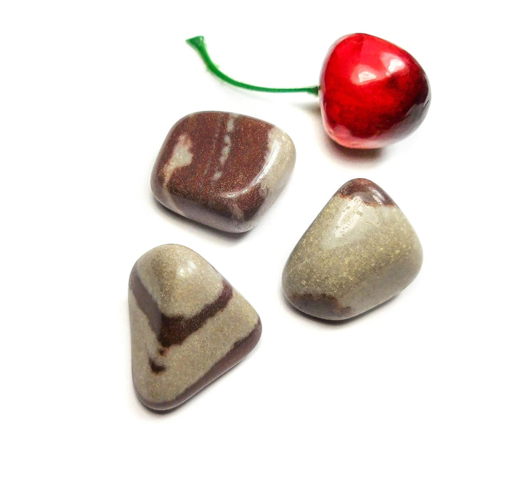 Shiva Lingam Tumbled (1/2 lb)(8 oz) Bulk Wholesale Lot Half Pound