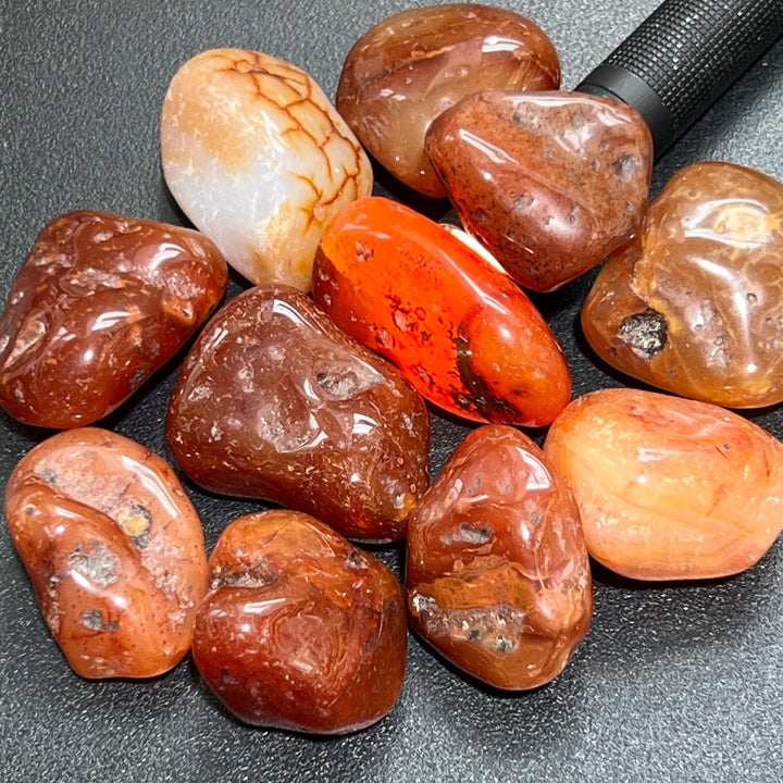 Large Carnelian Red Agate Tumbled Stones (By The Piece or Pound) Wholesale