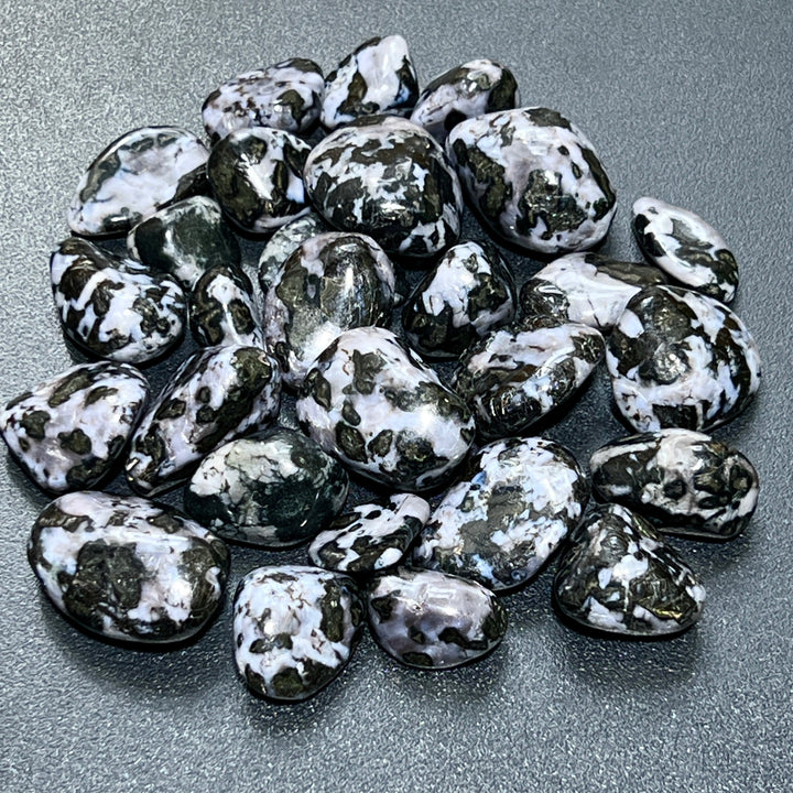 Indigo Gabbro (Mystical Merlinite) Tumbled (1/2 lb)(8 oz) Bulk Wholesale Lot Half Pound Polished Gemstones