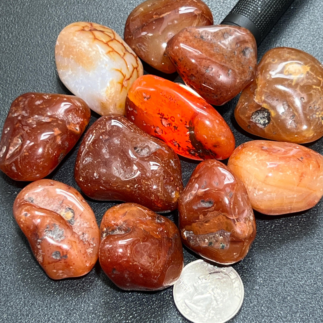 Large Carnelian Red Agate Tumbled Stones (By The Piece or Pound) Wholesale