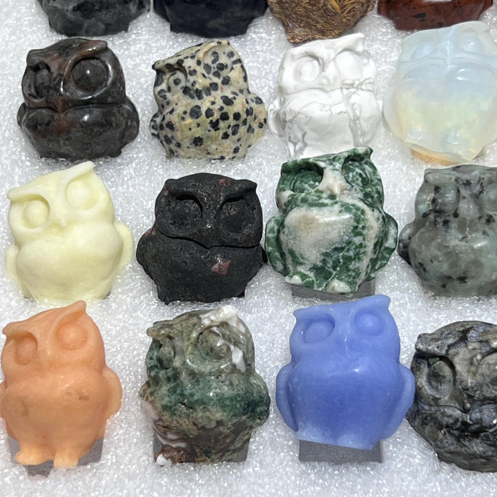 Mixed Gemstone Owl Carving Collection ( 24 Pcs ) Bulk Wholesale Assorted Flat Box