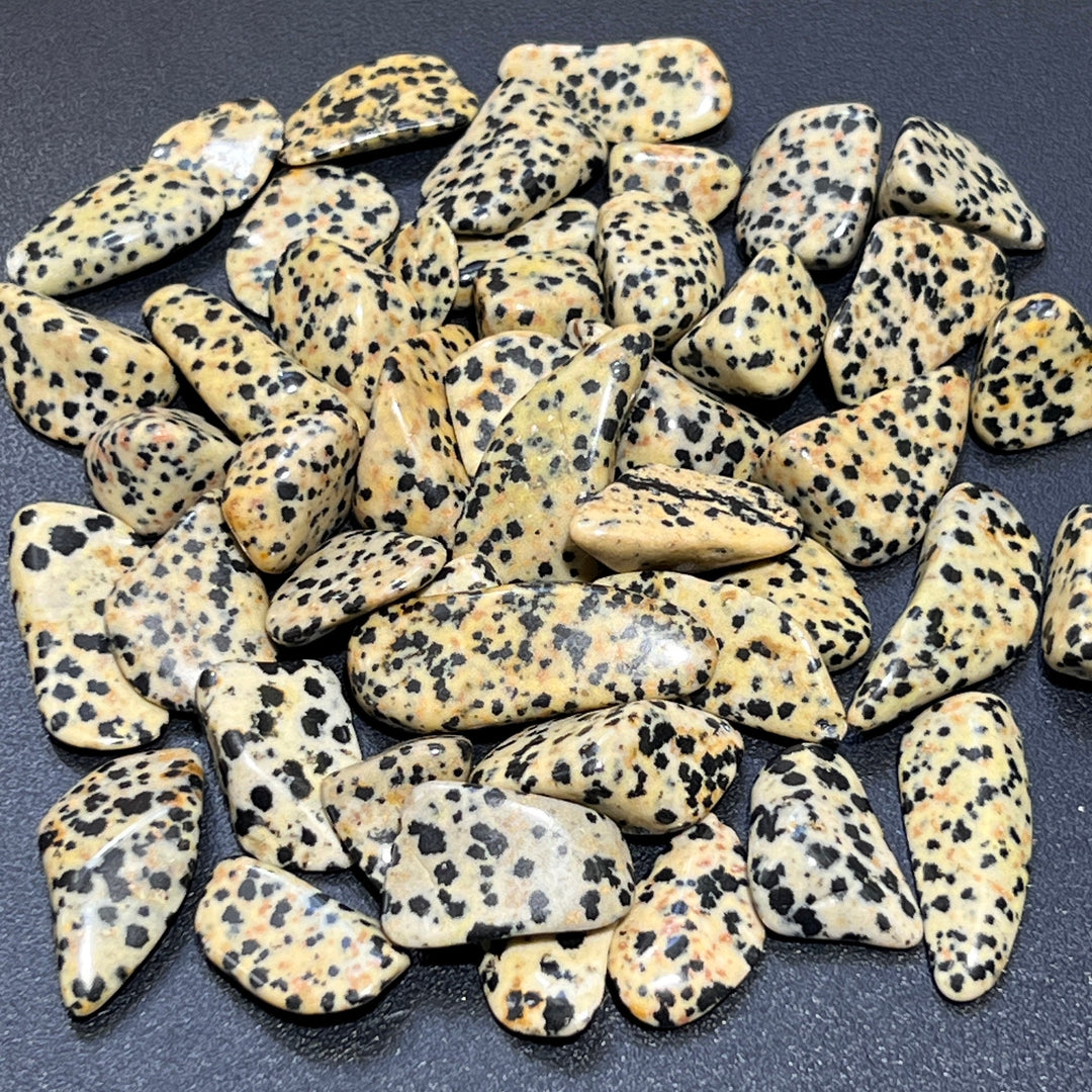 Spotted Dalmatian Jasper Tumbled (1 Kilo)(2.2 lbs) One Kilo Bulk Wholesale Lot Polished Gemstones