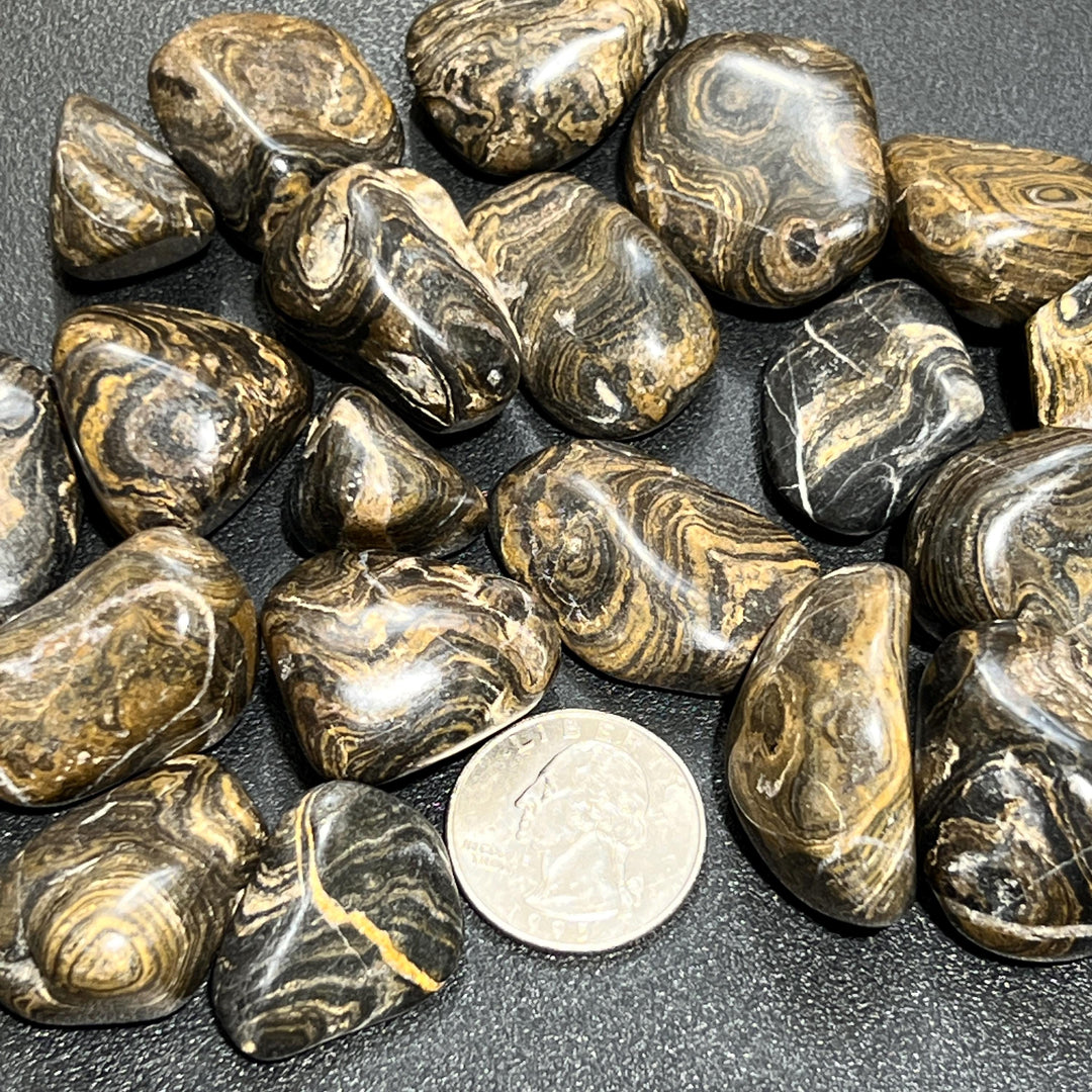 Tumbled Stromatolite Fossil Stones (By The Piece or Pound) Wholesale