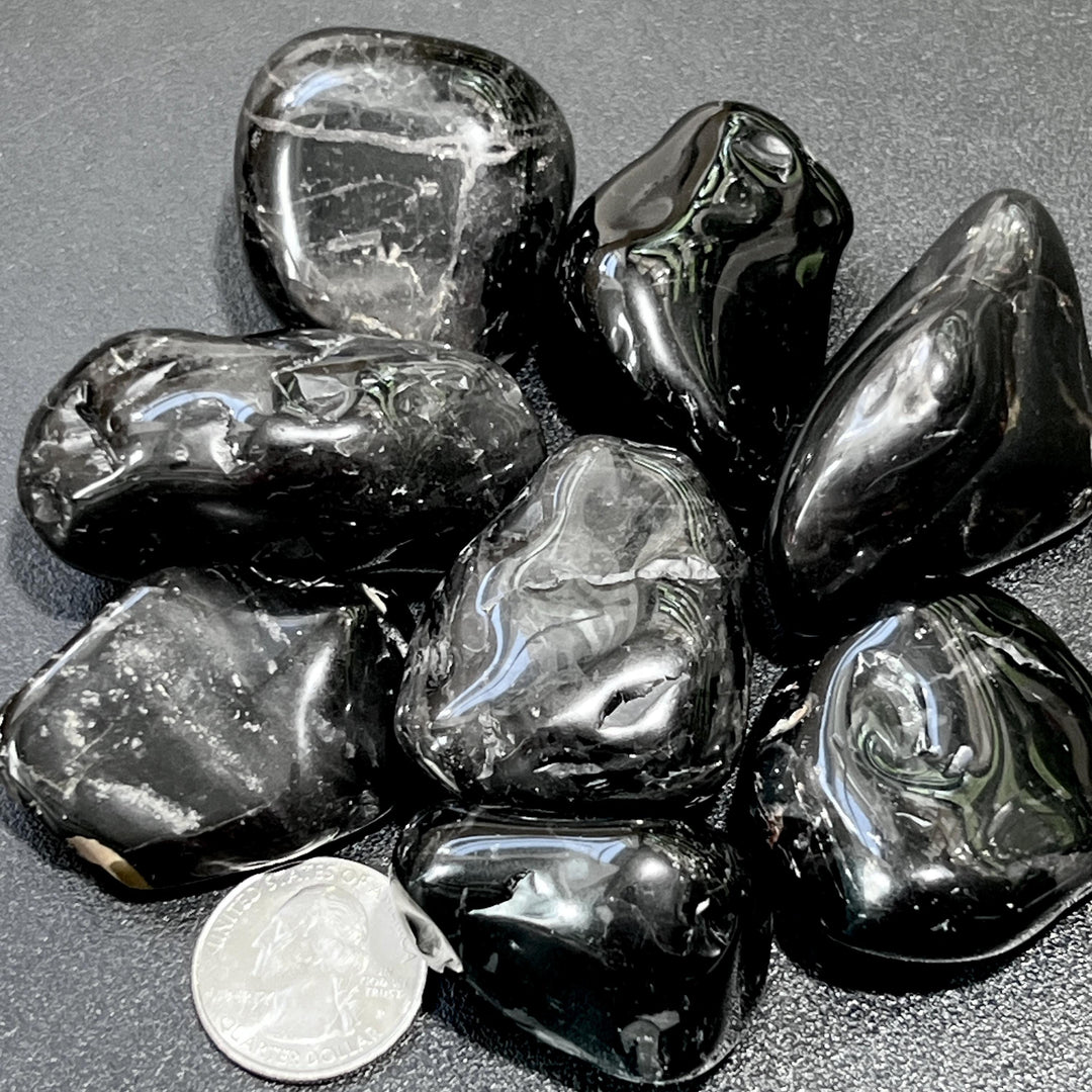 Black Tourmaline Crystal Tumbled Stones Large (1-2 Inches)(By The Piece or Pound) Bulk Wholesale