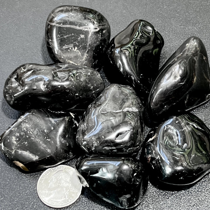 Black Tourmaline Crystal Tumbled Stones Large (1-2 Inches)(By The Piece or Pound) Bulk Wholesale