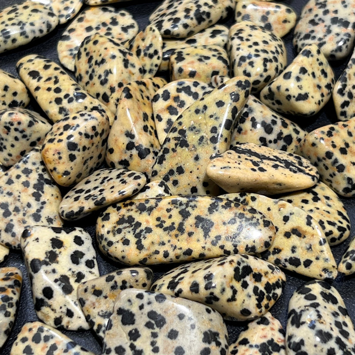 Spotted Dalmatian Jasper Tumbled (1/2 lb)(8 oz) Bulk Wholesale Polished Gemstones