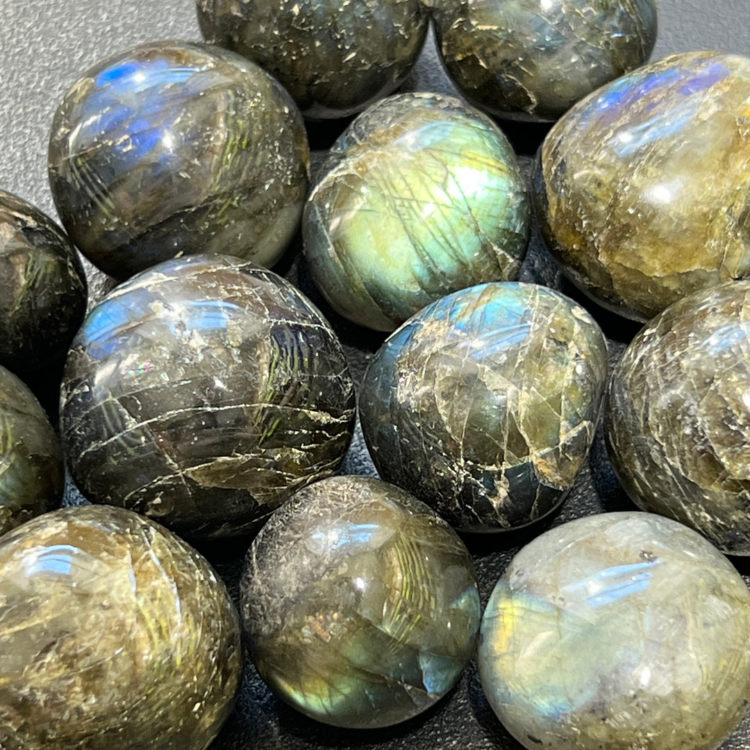 Flashy Extra Quality Labradorite Tumbled (1/2 lb)(8 oz) Bulk Wholesale Lot Half Pound Polished Gemstones