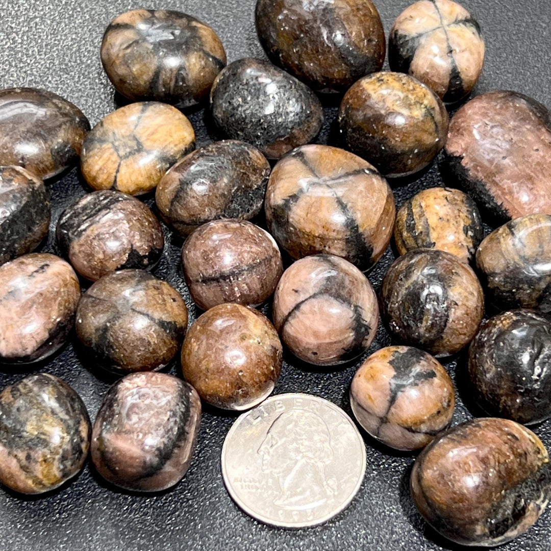 Chiastolite Mixed Quality (Fairy Cross Stone) Tumbled (By The Piece or Pound) Polished Crystals