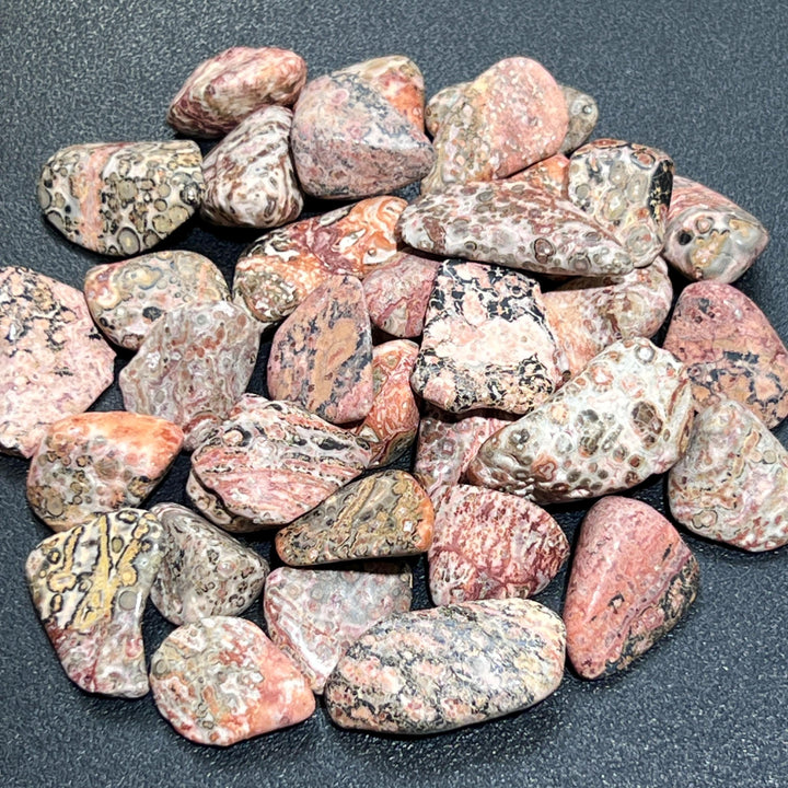 Leopard Skin Jasper Tumbled Stones (By The Piece or Pound) Wholesale