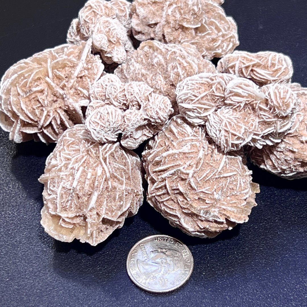 Desert Rose Selenite Crystals Rough (1 Kilo)( 2.2 LBs) Bulk Wholesale Lot Raw Gemstones