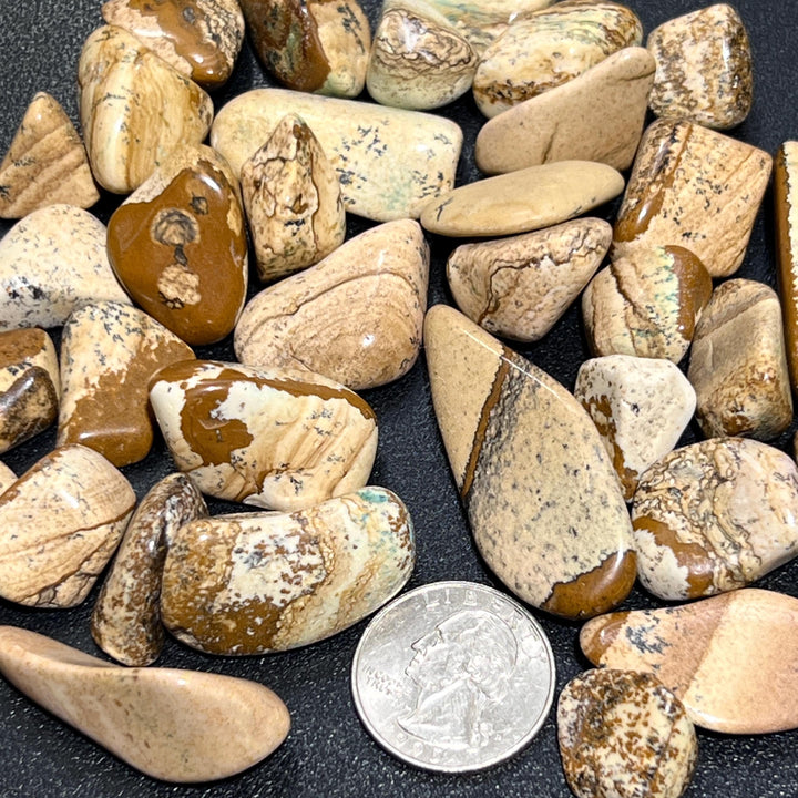 Picture Jasper Tumbled Stones (By The Piece Or Pound) Wholesale