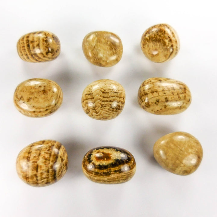 Aragonite Tumbled (1 LB) One Pound Bulk Wholesale Lot Polished Gemstones