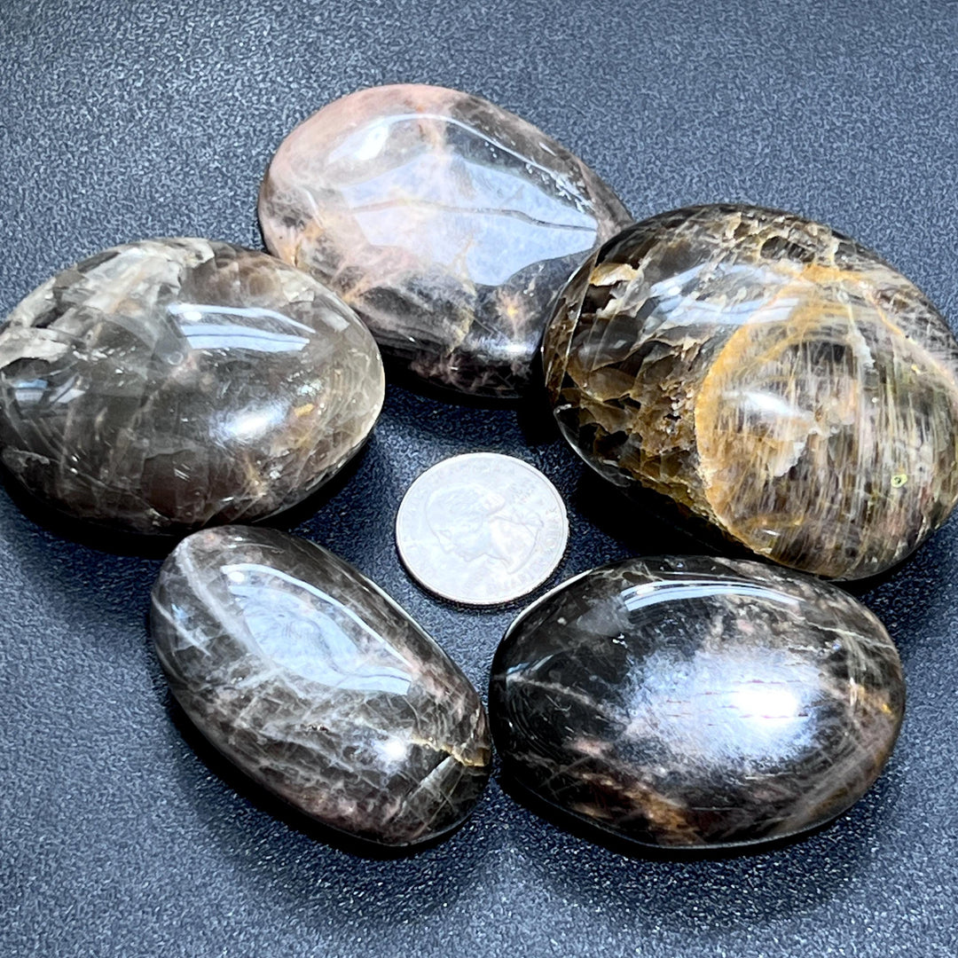 Black Moonstone Palm Stone Carving Gemstone Decor Supply