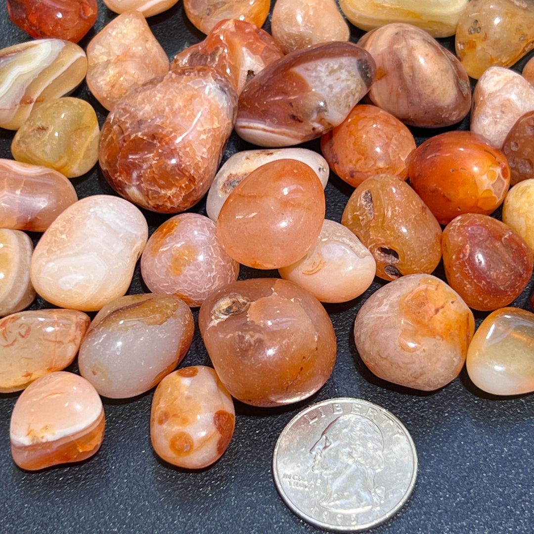 Red Carnelian Agate Tumbled Stones (By The Piece Or Pound) Bulk Wholesale Lot