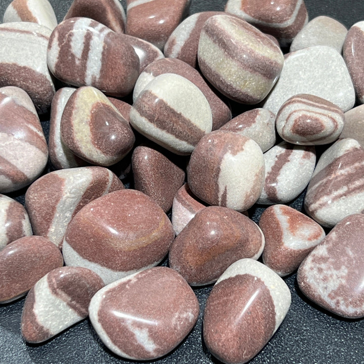 Shiva Lingam Tumbled (1/2 lb)(8 oz) Bulk Wholesale Lot Half Pound