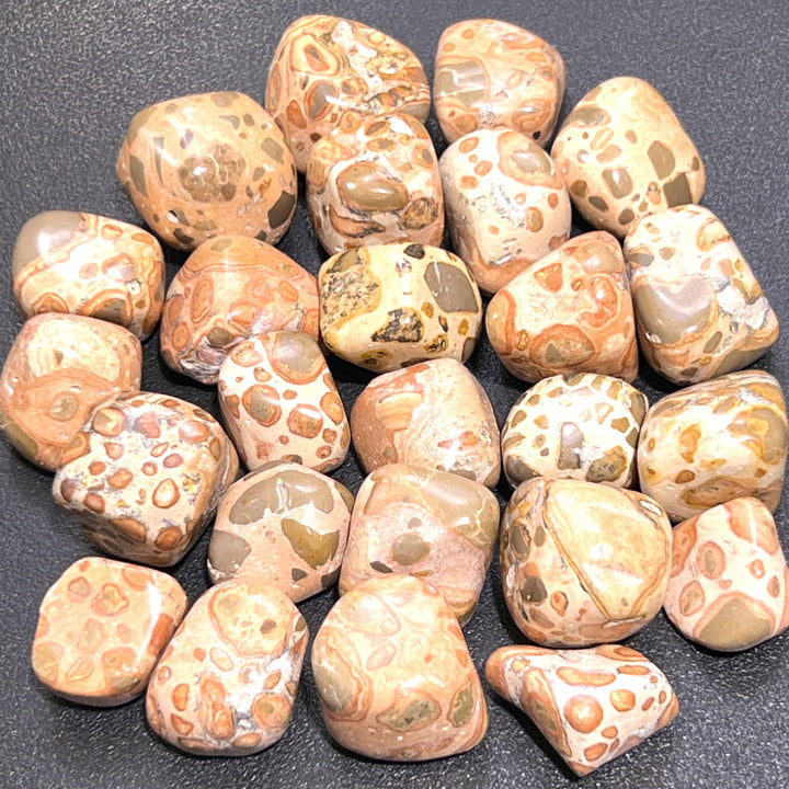 Leopardite (Leopard Jasper) Tumbled Stones (By The Piece or Pound) Wholesale