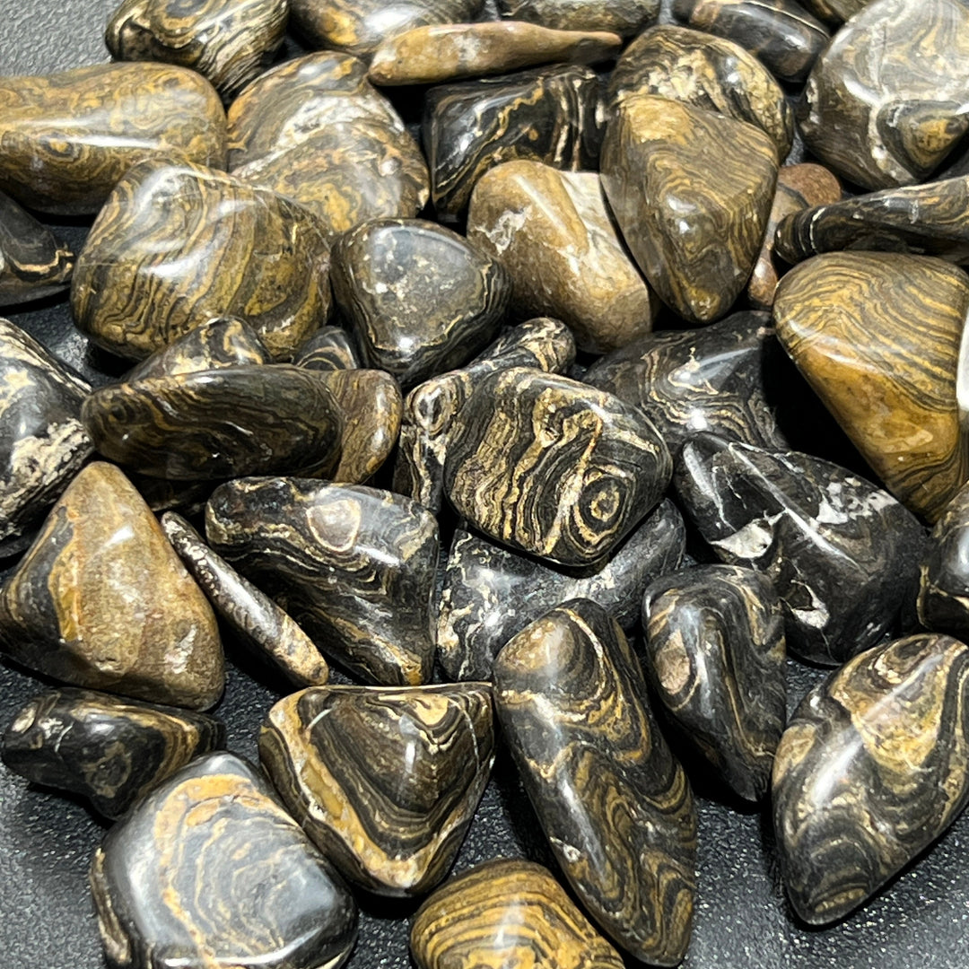 Tumbled Stromatolite Fossil Stones (By The Piece or Pound) Wholesale