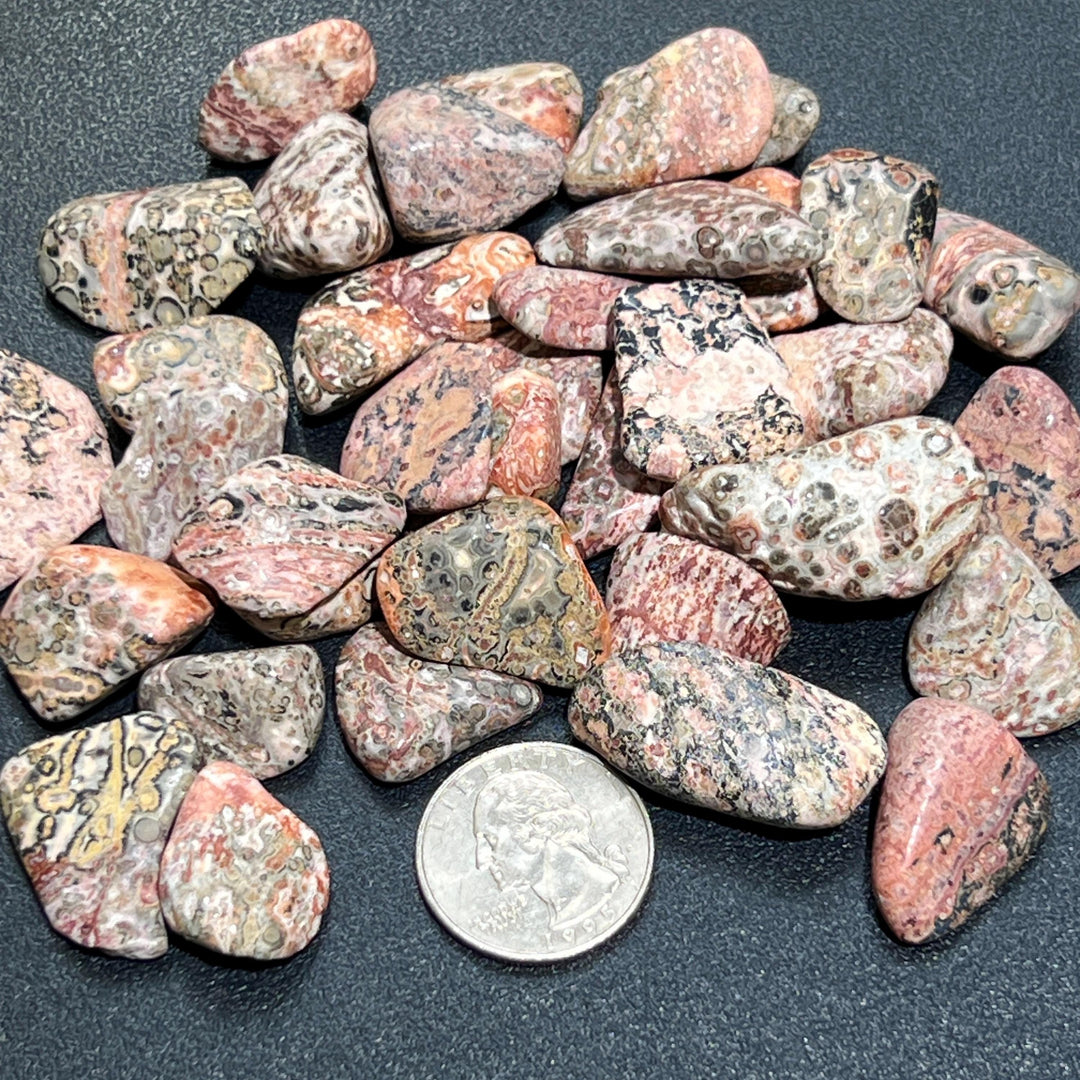 Leopard Skin Jasper Tumbled Stones (By The Piece or Pound) Wholesale