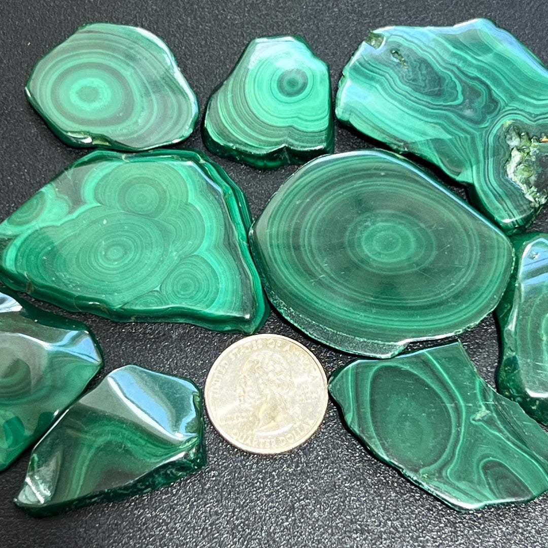 Extra Quality Malachite Slices (1-3 Inches) Polished Freeform Cabochons Gemstone Decor