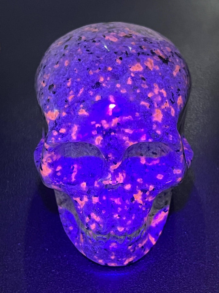 Syenite Skull Carving (UV Reactive)(3 Inches) Gemstone Crystal Home Decor Supply