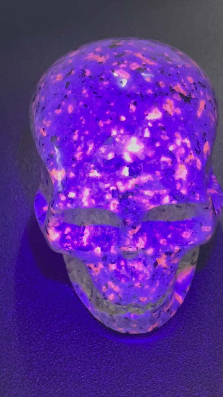 Syenite Skull Carving (UV Reactive)(3 Inches) Gemstone Crystal Home Decor Supply